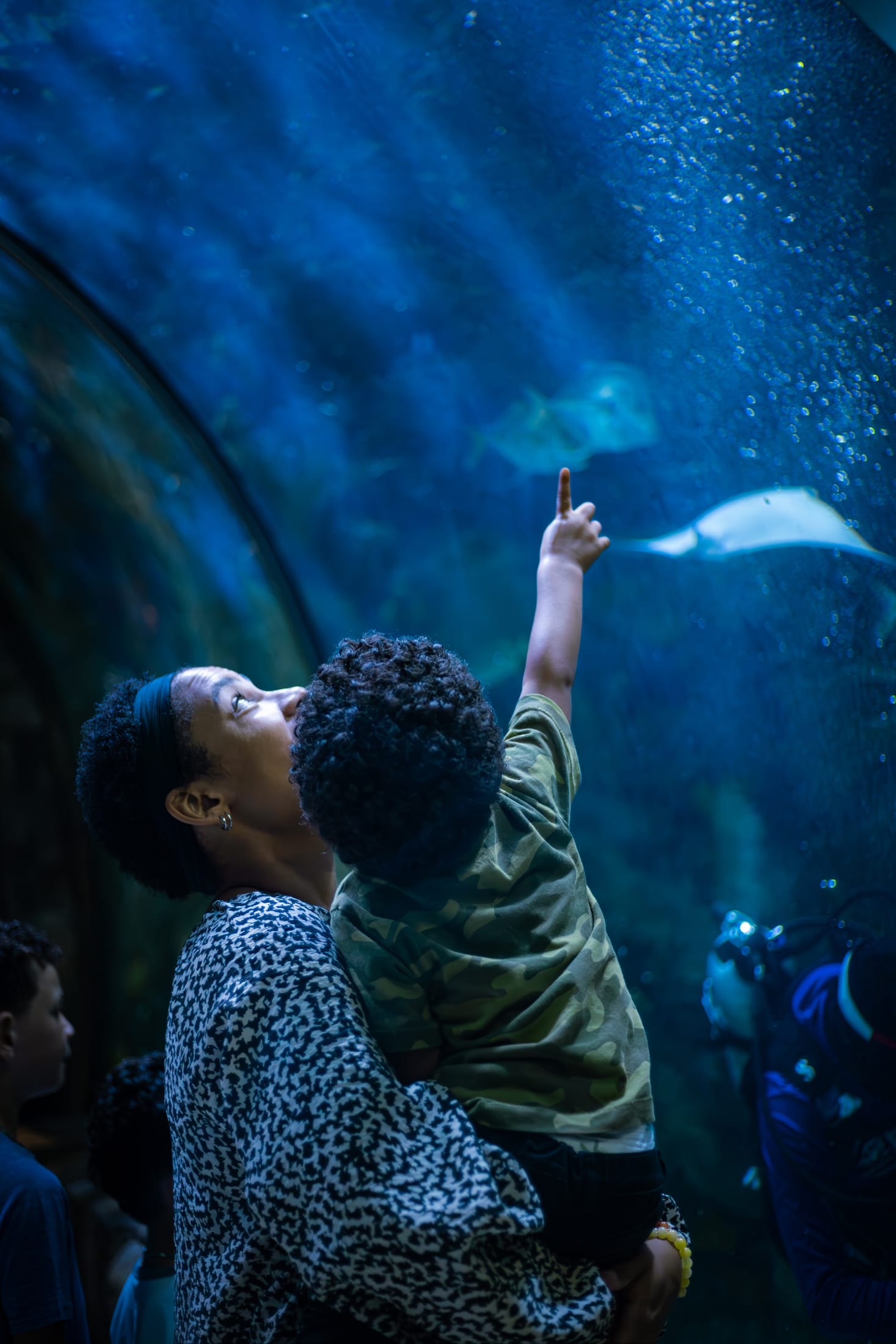 A child reaching toward a stingray at a luxury resort aquarium