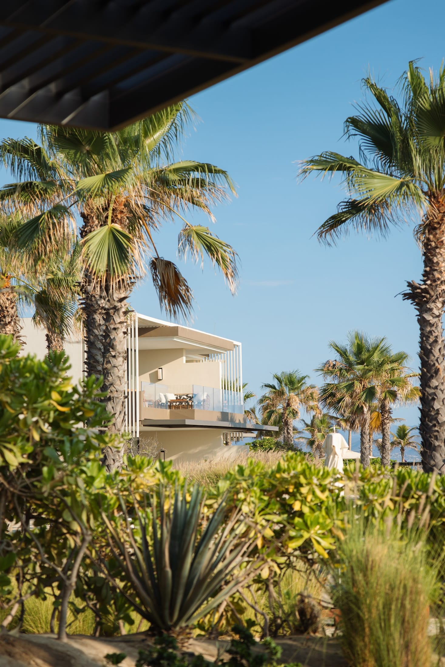 A private villa balcony framed by palms